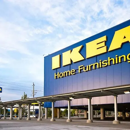 Cucaracha * קטאניה