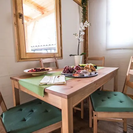 Cucaracha Apartment