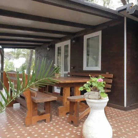 דירה Cucaracha *