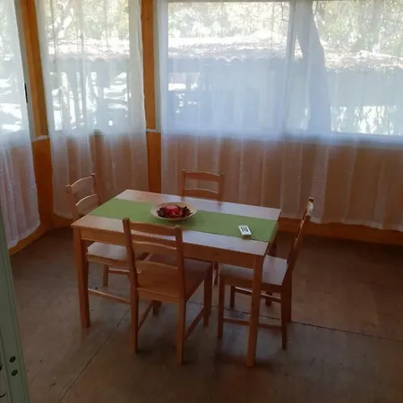 Cucaracha Apartment *
