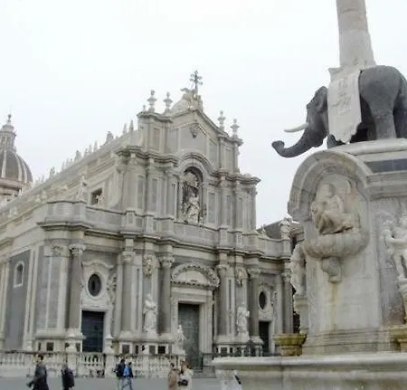 Cucaracha كاتانيا