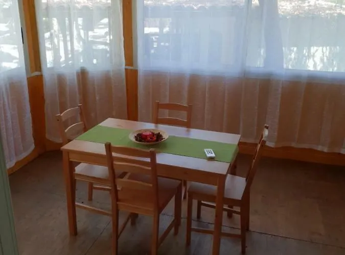 Cucaracha Apartamento *